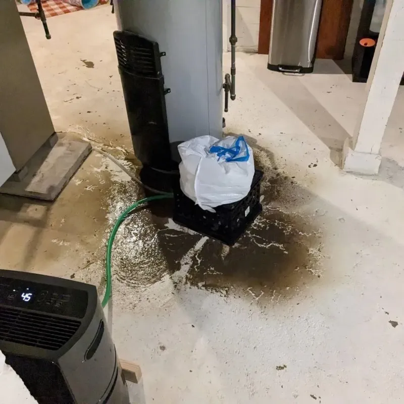 Sewage Backup Cleanup Service in Crockett, CA